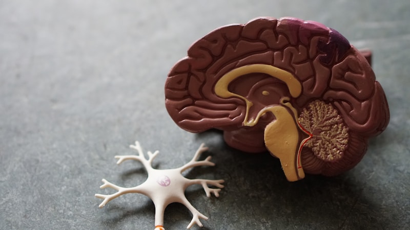 Mental health and brain wellness